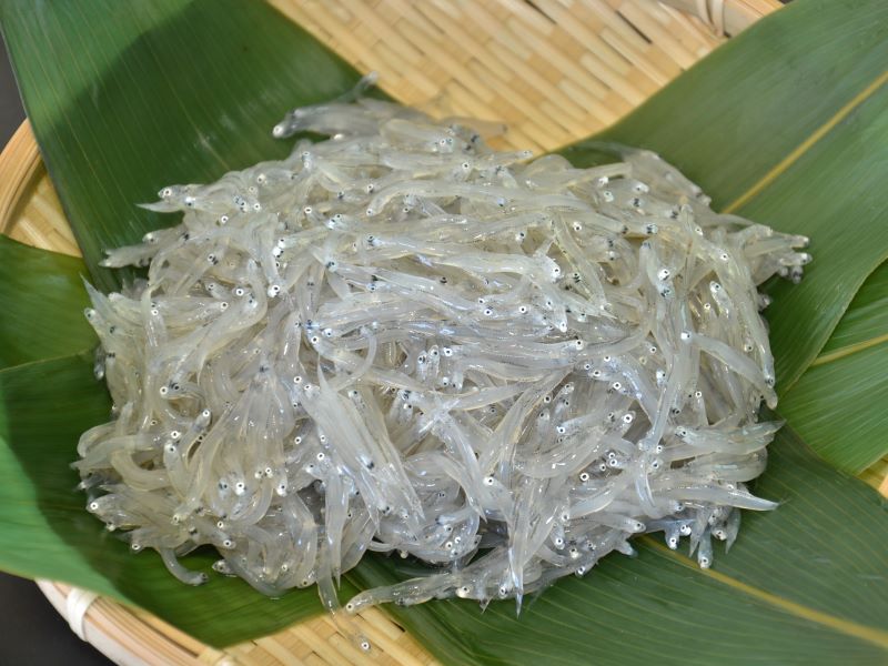 画像提供：田子の浦港　漁協食堂