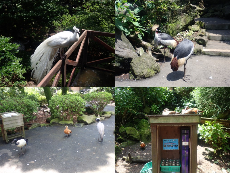 シャボテン動物公園