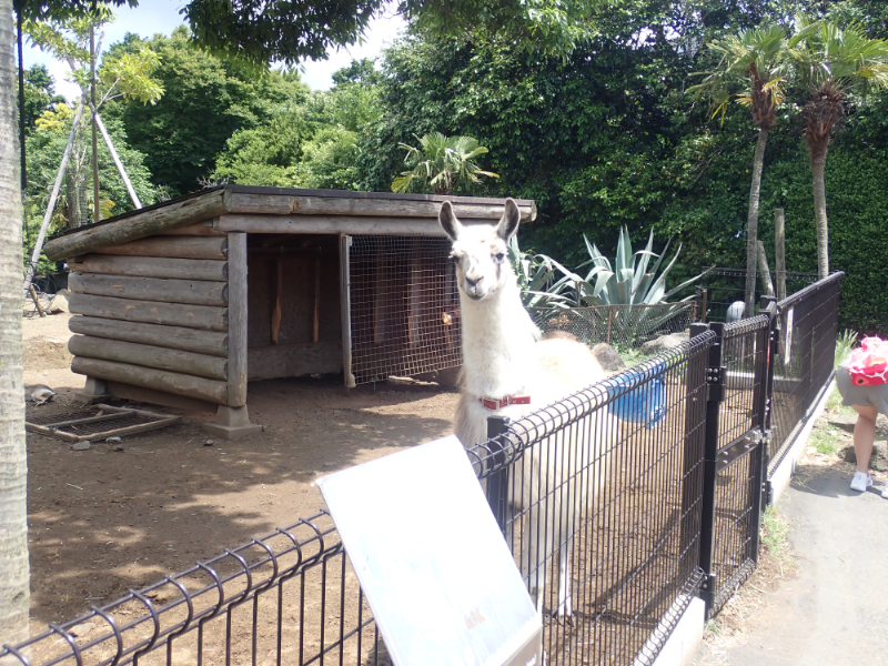 シャボテン動物公園