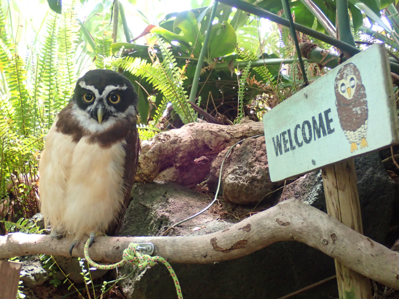 シャボテン動物公園