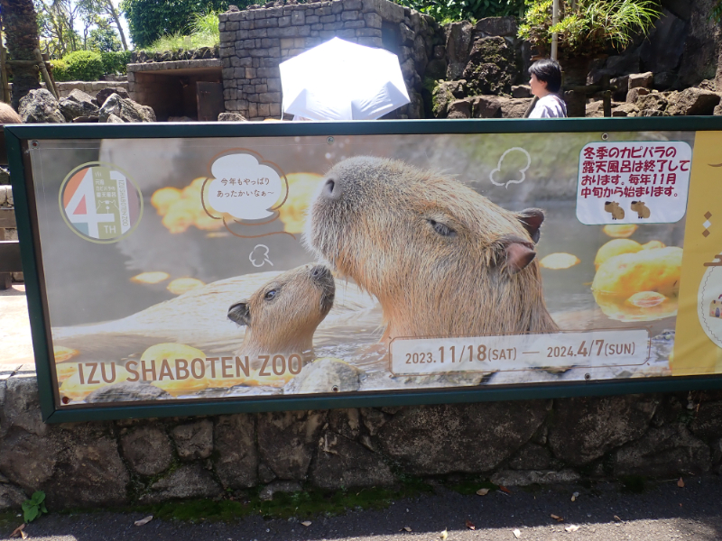 シャボテン動物公園