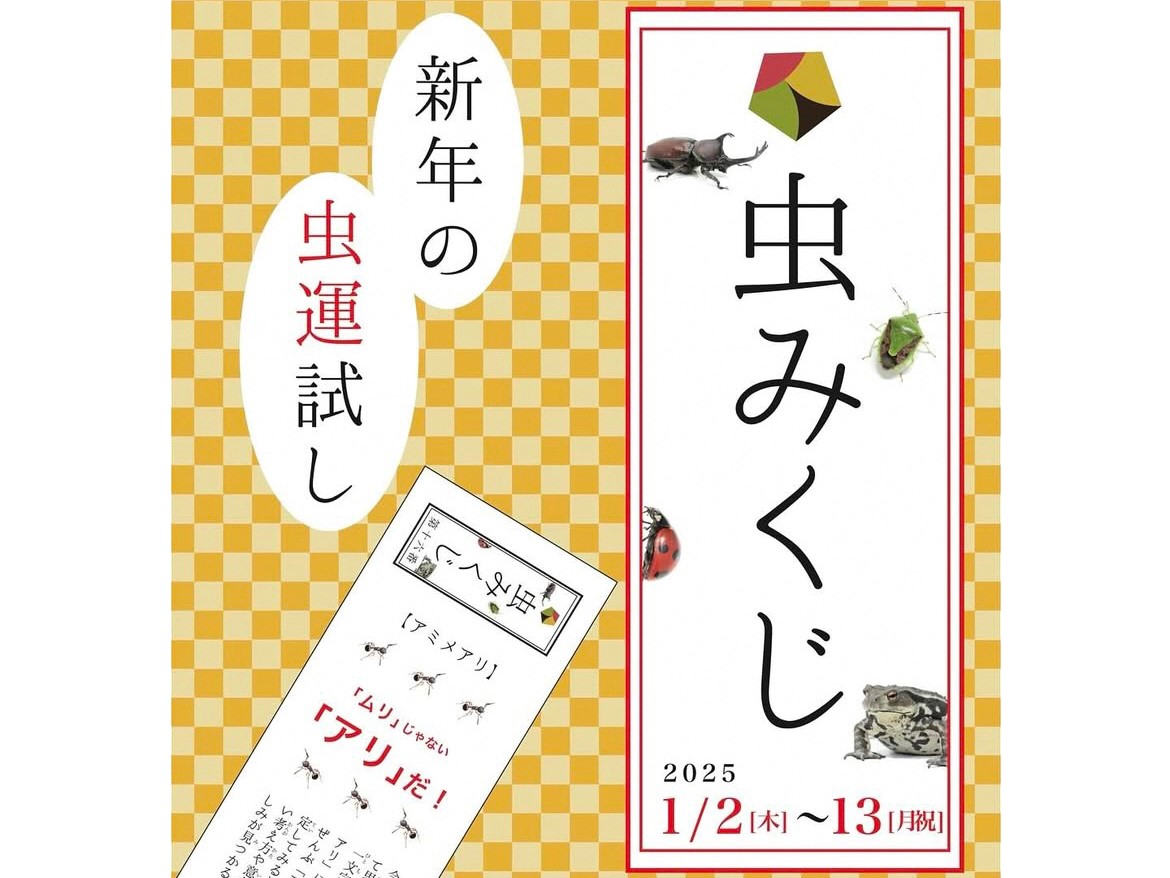 （画像提供：磐田市竜洋昆虫自然観察公園)