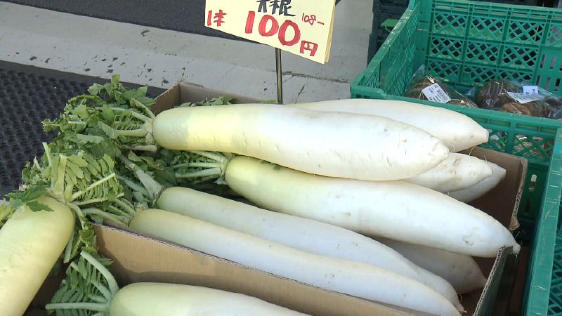 1本100円のダイコン