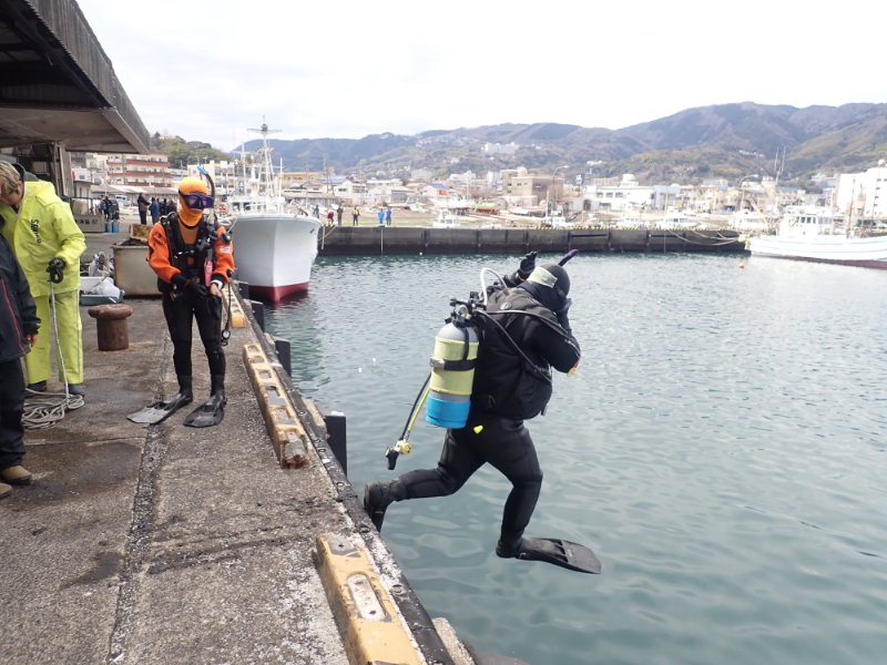 伊東港に入水するダイバー