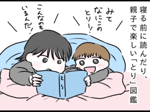 とり図鑑をみる、ここまる＆あっくん