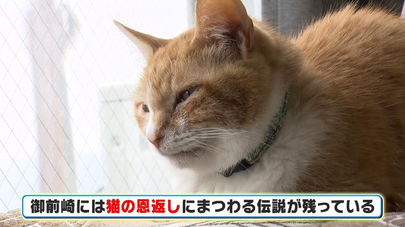 八潮の看板ねこ