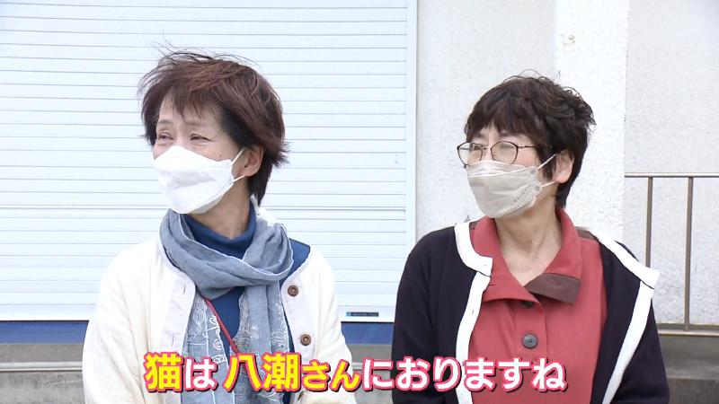 看板ねこのいる旅館を教えてくれた県外からの観光客