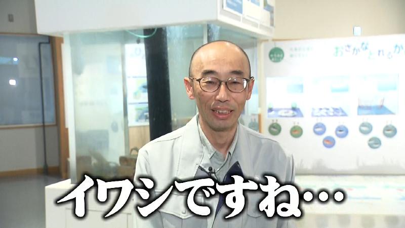 好きな魚はイワシと答える岡田さん