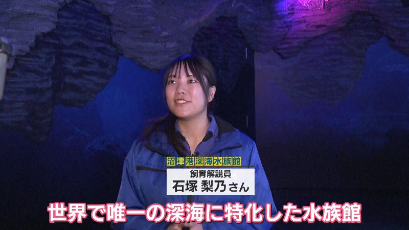 沼津港深海水族館 飼育解説員の石塚梨乃さん