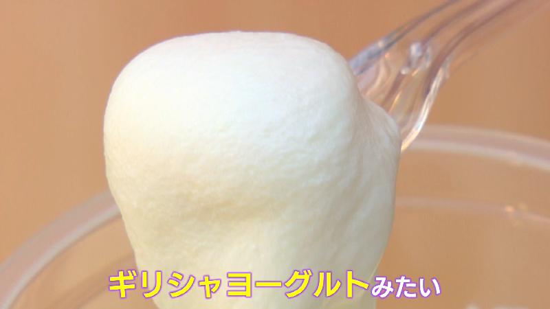 もったり重たいフレッシュ熱海ヨーグルトはグリークヨーグルトのよう