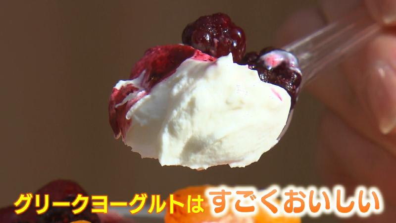 濃厚な味わいのグリークヨーグルト