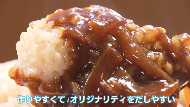 掛川ハヤシライス
