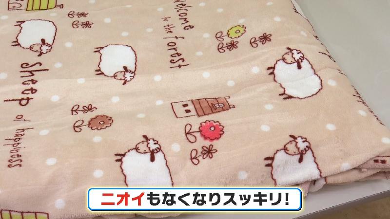 ペットの臭いも取れてスッキリ