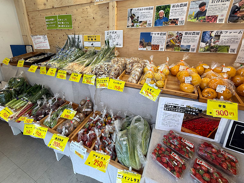 店内に並んだ野菜