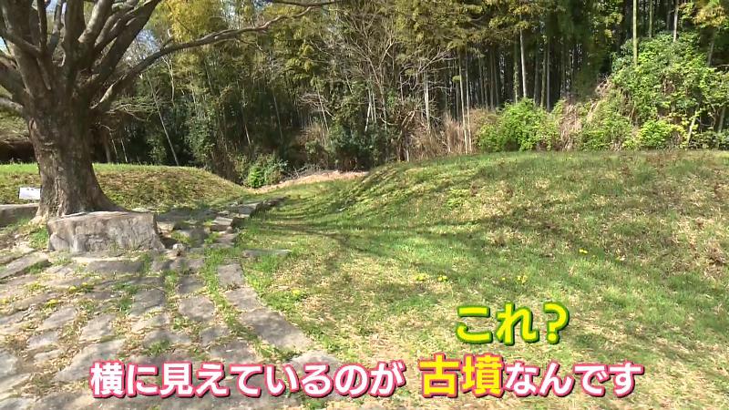 変哲もない丘に見える古墳