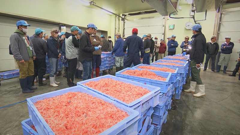 市場に並ぶサクラエビ