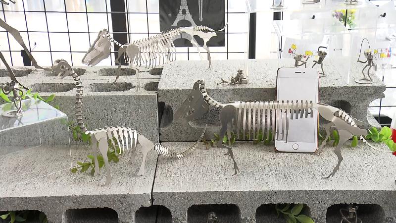 ステンレス製骨格標本