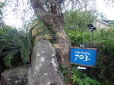 Cafe Dining 703.の入口