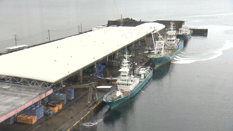 びゅうおから見た漁港