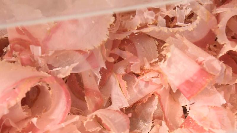 削りたてのカツオ節