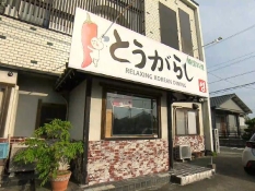 とうがらしの外観