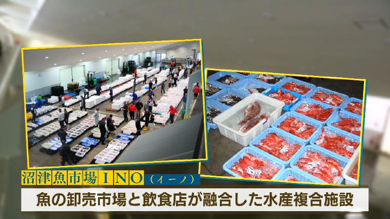 沼津魚市場INO「