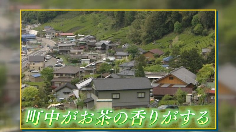家山の風景