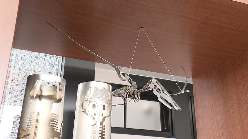 翼竜の骨格標本