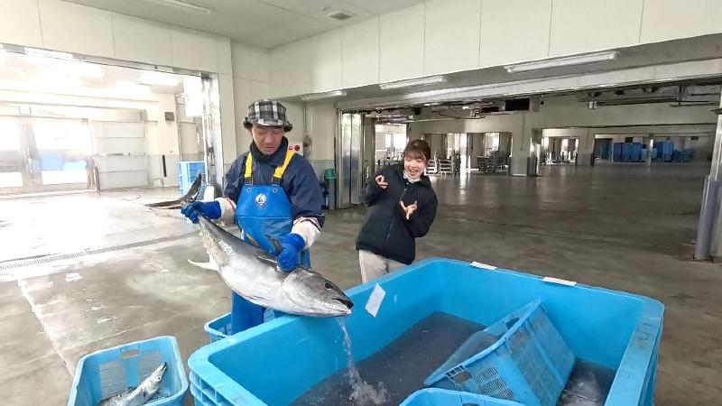 水揚げされた本マグロに驚く大森アナ
