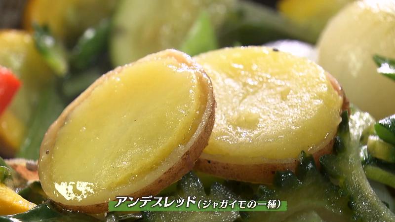 アンデスレッド(ジャガイモの一種)