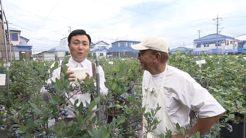 ブルーベリー園で話すにむらリポーターと澁谷さん