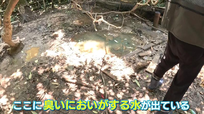 最初に発見された油田