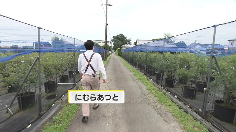 ブルーベリー園の中を歩くにむらリポーター