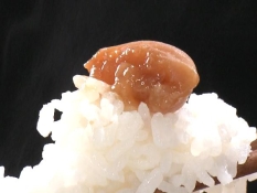 ごはんにのったウメ干し