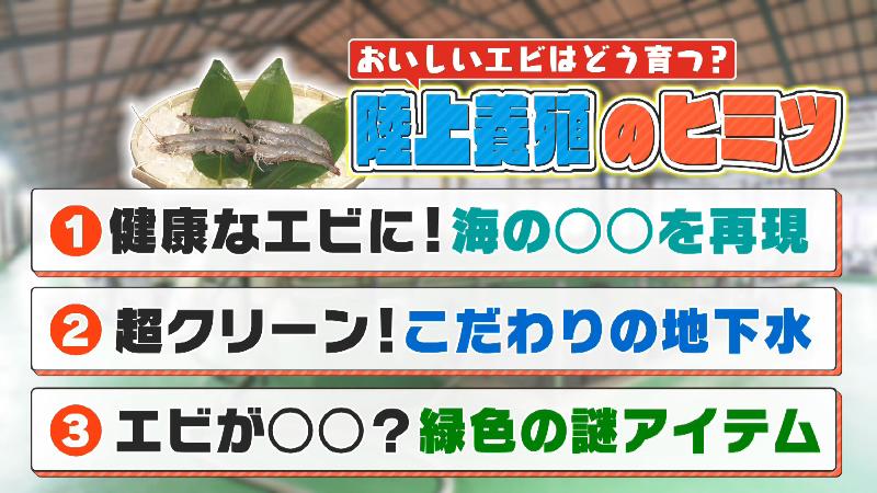 陸上養殖の秘密3つ