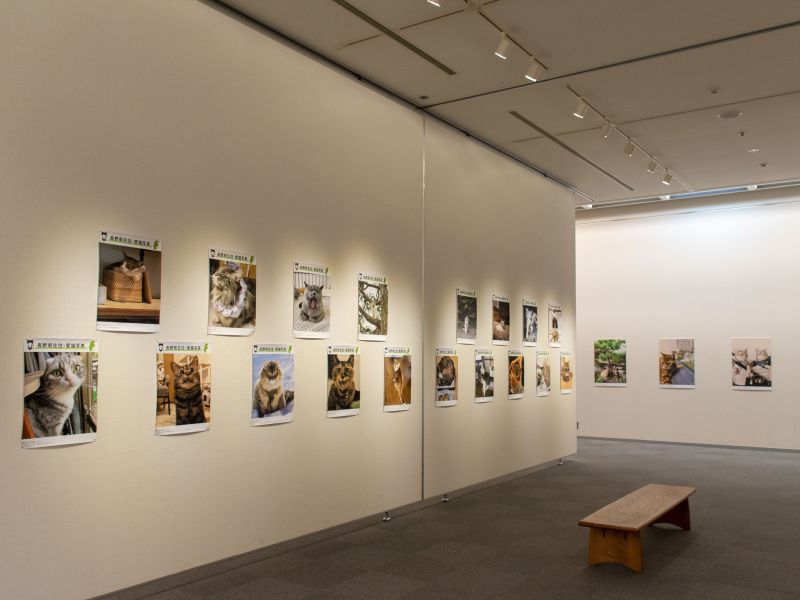 ねこにすと写真展の会場