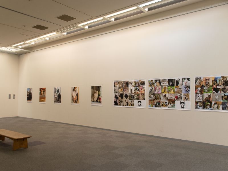 ねこにすと写真展の会場