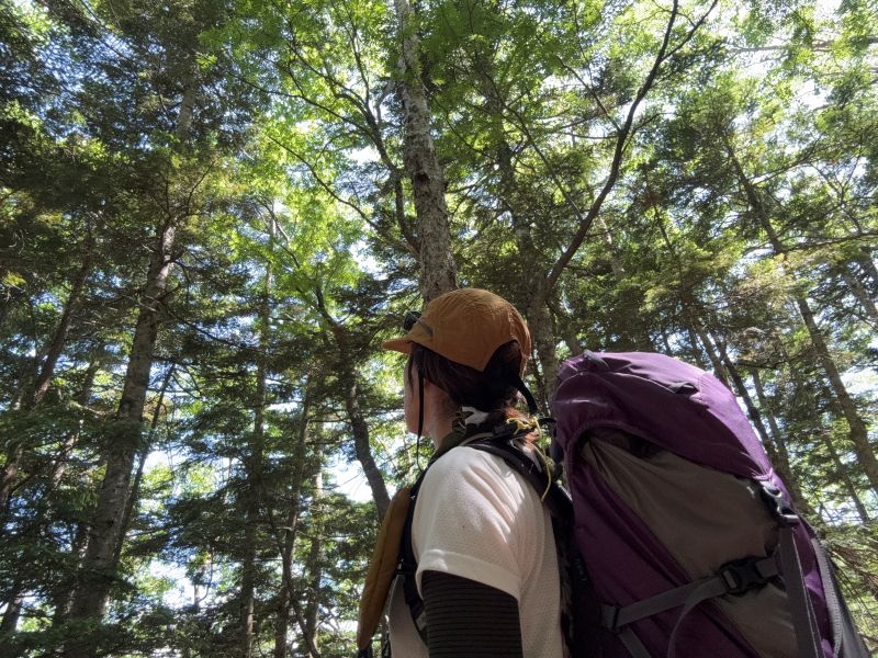 木立を見上げながら休憩