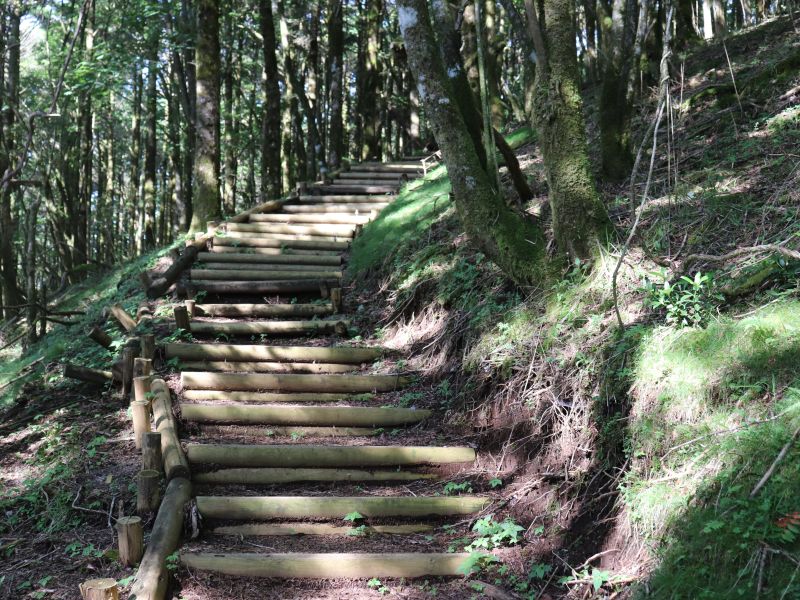 腰切塚への階段