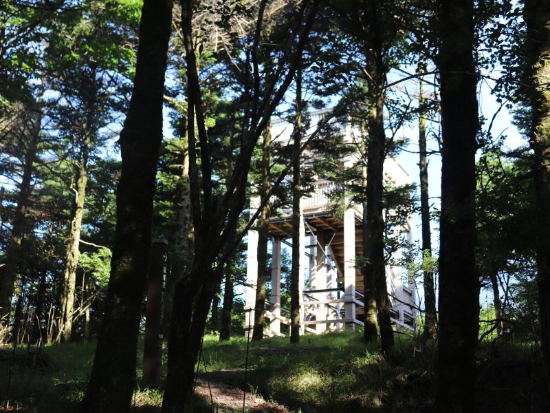 水ヶ塚公園の展望台