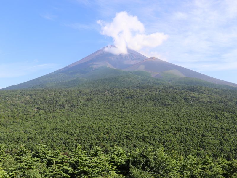 腰切塚の展望台から見た富士山