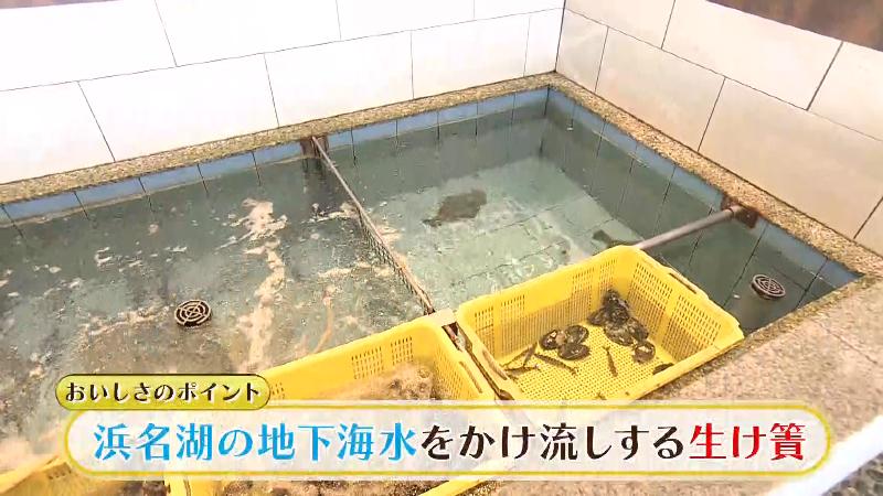 浜名湖の地下海水をかけ流しする生け簀