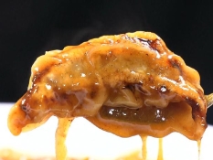 カレーギョーザ