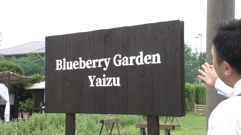 ブルーベリーガーデン焼津の看板