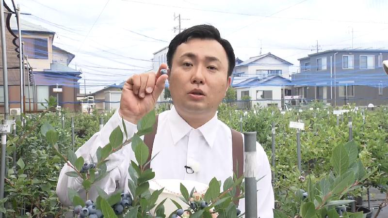 ブルーベリー狩りをするにむらリポーター