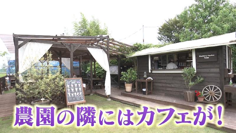 ブルーベリーガーデンやいづのカフェの外観