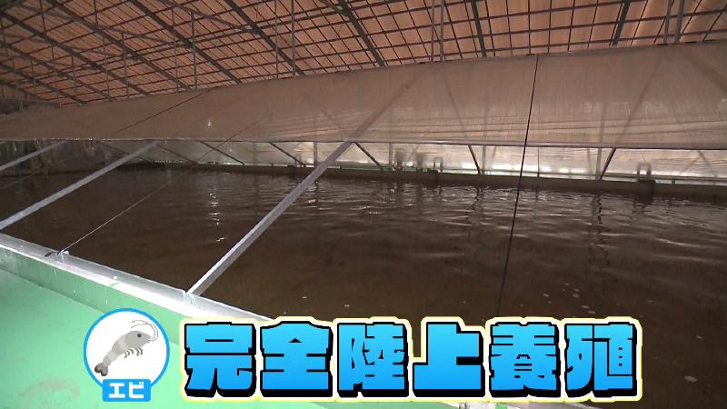 養殖用の水槽