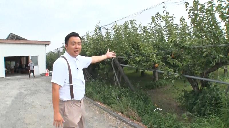 ナシ園に到着したにむらリポーター