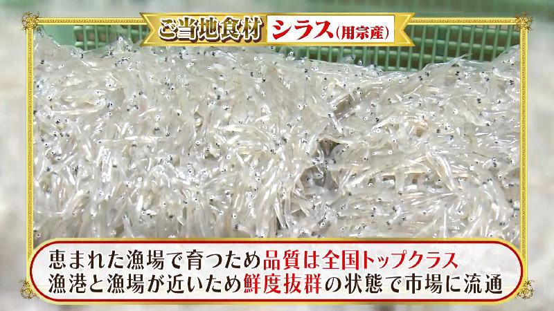 鮮度抜群の用宗産のシラス「恵まれた漁場で育つため品質は全国トップクラス」