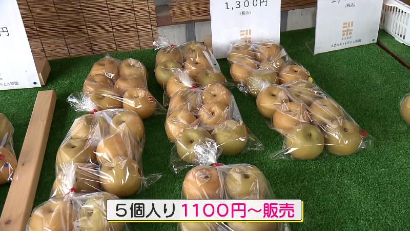 直売所の袋入りナシ